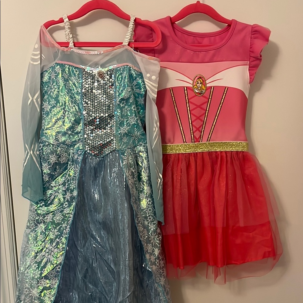 Frozen Princess and Aurora Costume Set - Blue and Pink